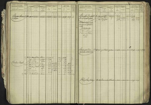 La Bâtie-Neuve - 3 P 237/1 - 3 P 237/1 - Matrice, folios 1-520. 