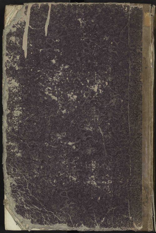 La Bâtie-Neuve - 3 P 236/4 - 3 P 236/4 - Section D 