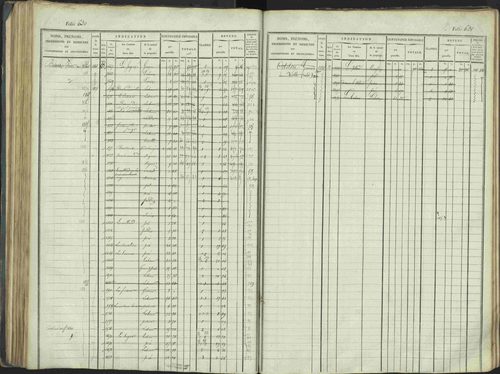 La Beaume - 3 P 253/1 - 3 P 253/1 - Matrice, folios 481-960. 
