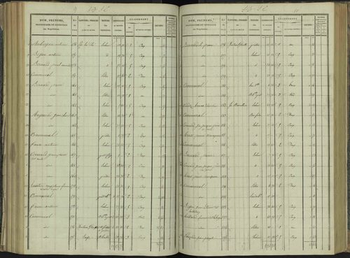 La Beaume - 3 P 251/5 - 3 P 251/5 - Section E 