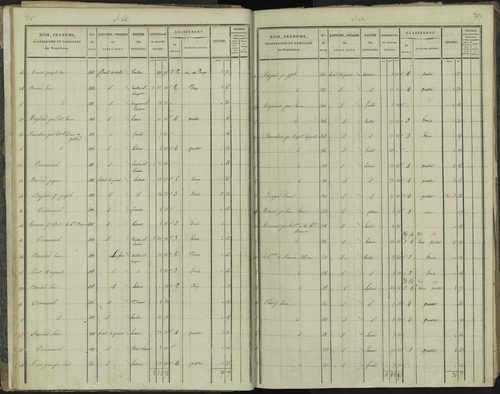 La Beaume - 3 P 251/1 - 3 P 251/1 - Section A 