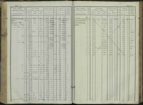 Le Bersac - 3 P 267/1 - 3 P 267/1 - Matrice foncière. 