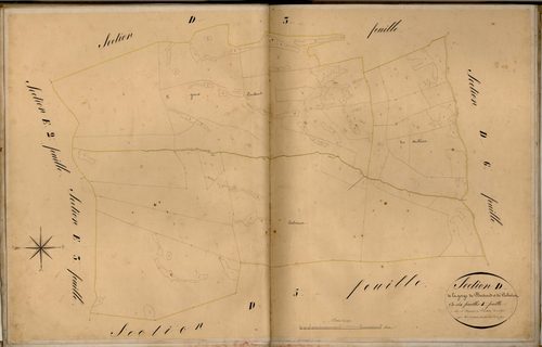 La Gorge de Bertrand et le Cabreiret. - Plan de section, D4