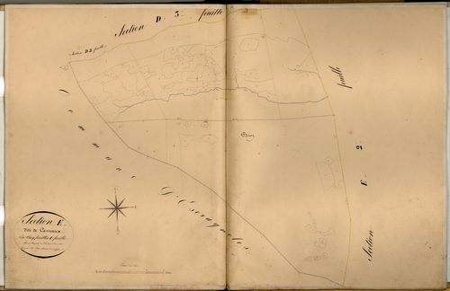 Cannaux, Biron. - Plan de section, E1