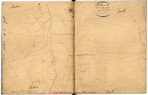 Cannaux. - Plan de section, E3