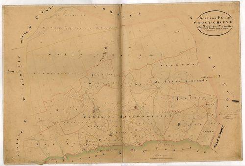 Le Mont-Chauve. - Plan de section, F3