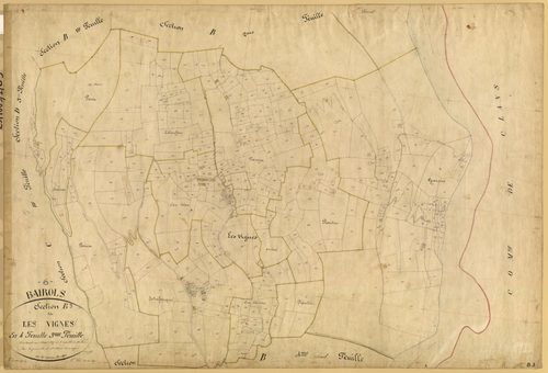 Les Vignes. - Plan de section, B3