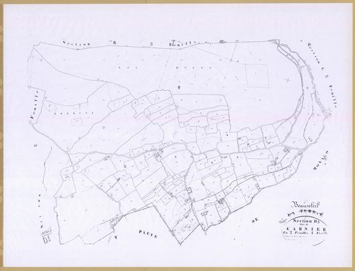 Carnier. - Plan de section, D1