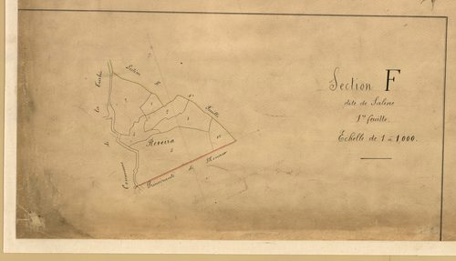 Saline. - Plan de section, F1