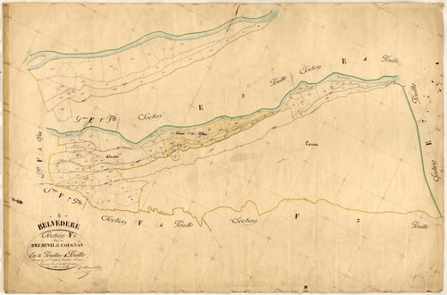 Treminil et Cougnas. - Plan de section, F4
