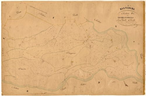 Treminil et Cougnas. - Plan de section, F6