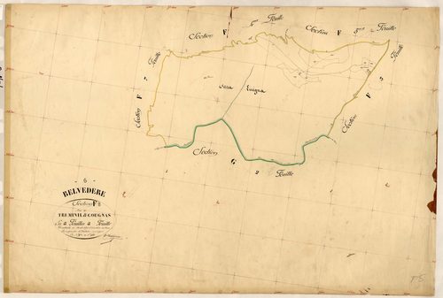 Treminil et Cougnas. - Plan de section, F8