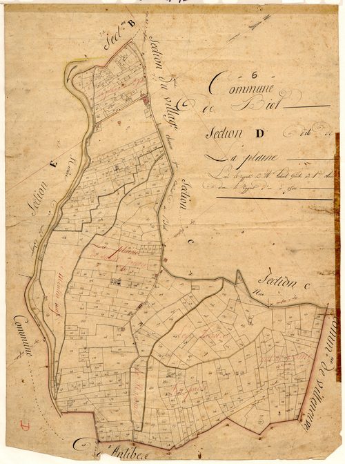 La Plaine. - Plan de section, D