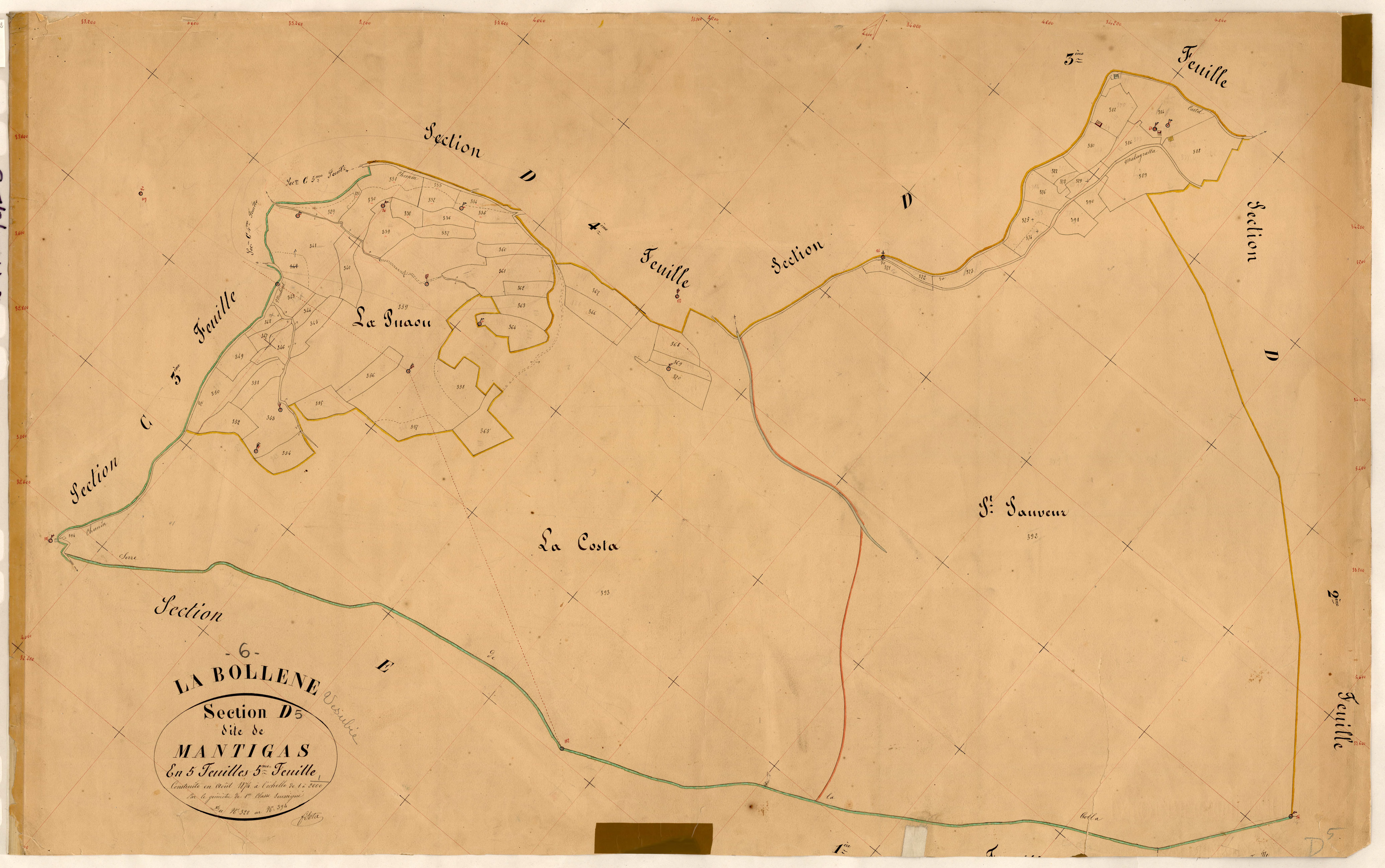 Mantigas. - Plan de section, D5
