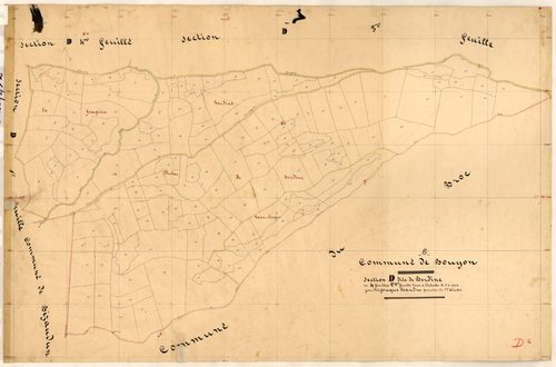 Berdine. - Plan de section, D2