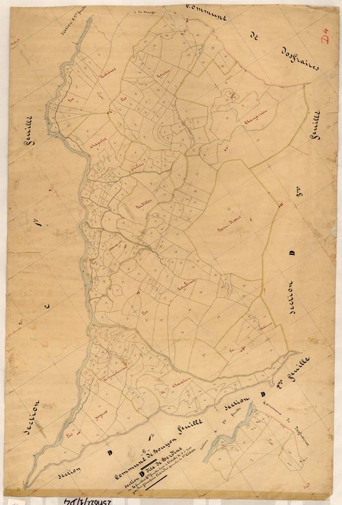 Berdine. - Plan de section, D4
