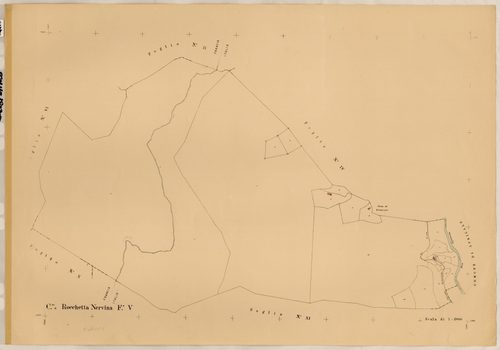 renumérotée XXV. - Plan de section, V