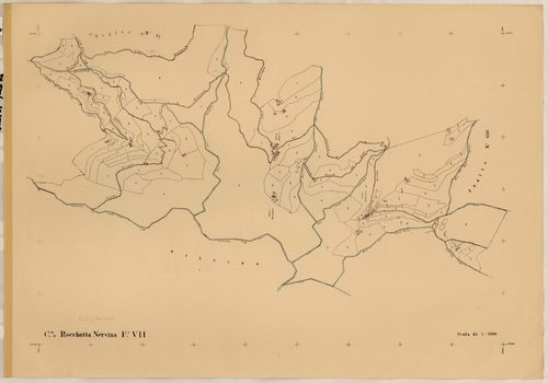 renumérotée XXVII. - Plan de section, VII