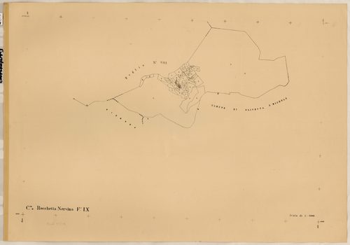 renumérotée XXIX. - Plan de section, IX
