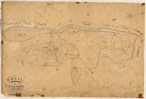 Vessaire. - Plan de section, D1