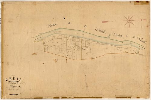 Vessaire (développement). - Plan de section, D1(d)