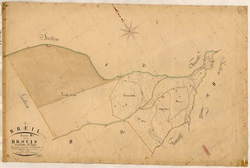 Brouis. - Plan de section, H1