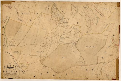 Brouis. - Plan de section, H2