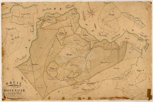 Le Bois Noir. - Plan de section, I1