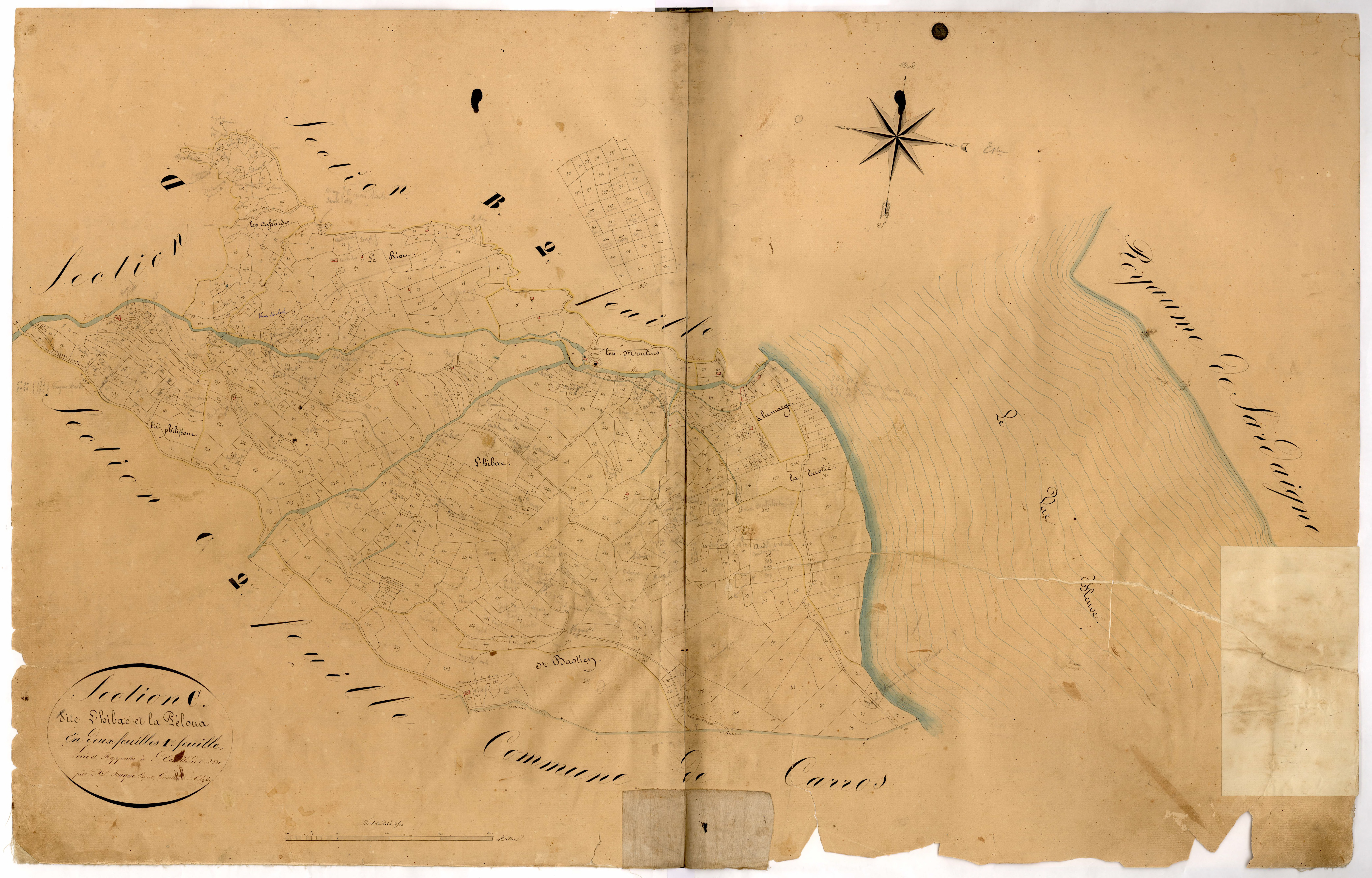L'Hibac et la Péloua. - Plan de section, C1