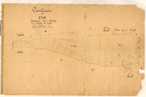 L'Audibergue. - Plan de section, C1