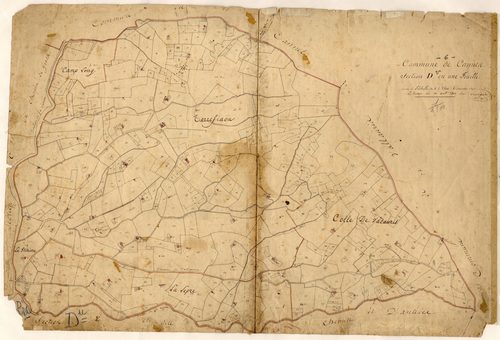 Plan de section, D