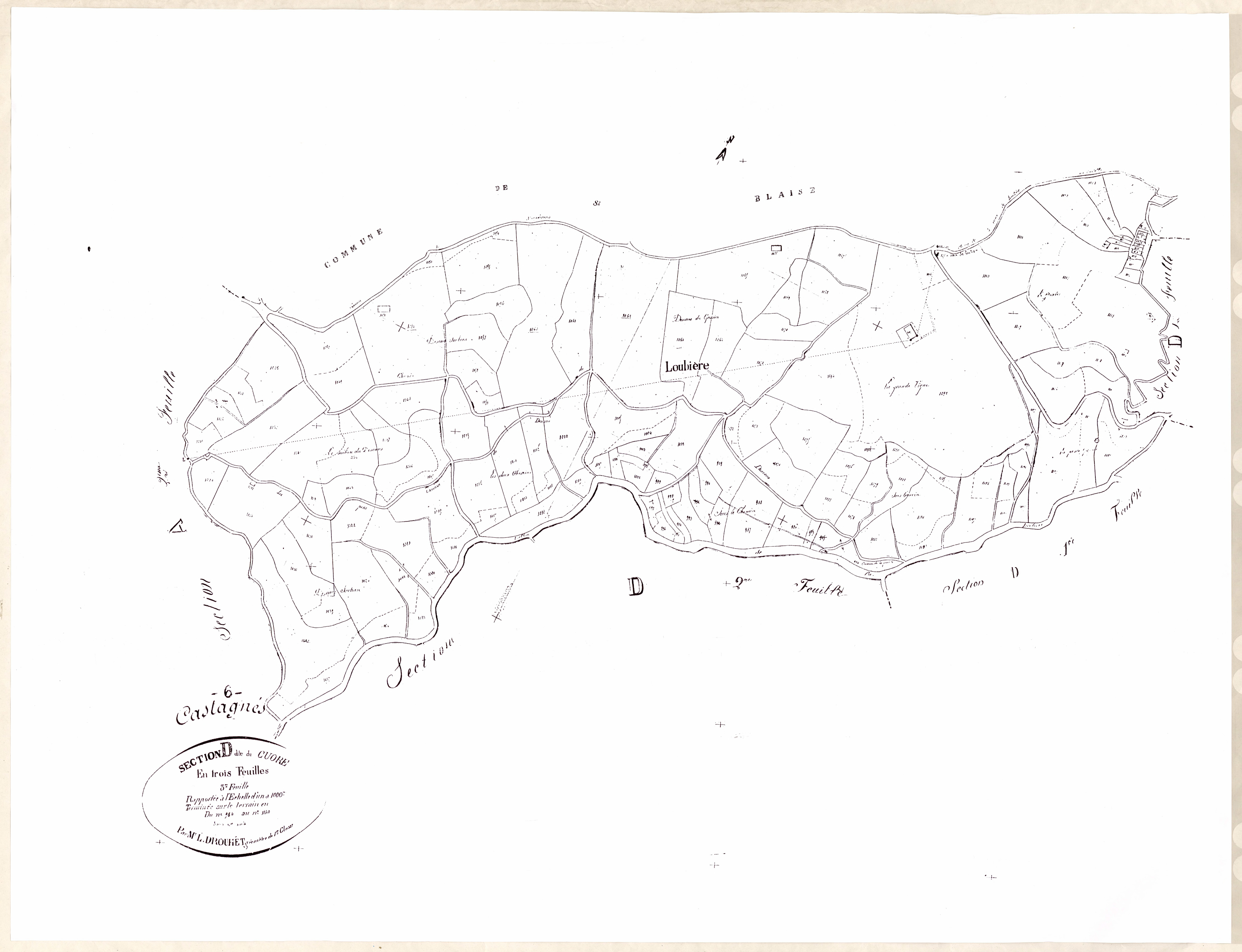 Le Cuore. - Plan de section, D3