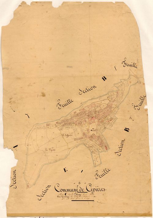 Le Village. - Plan de section, C