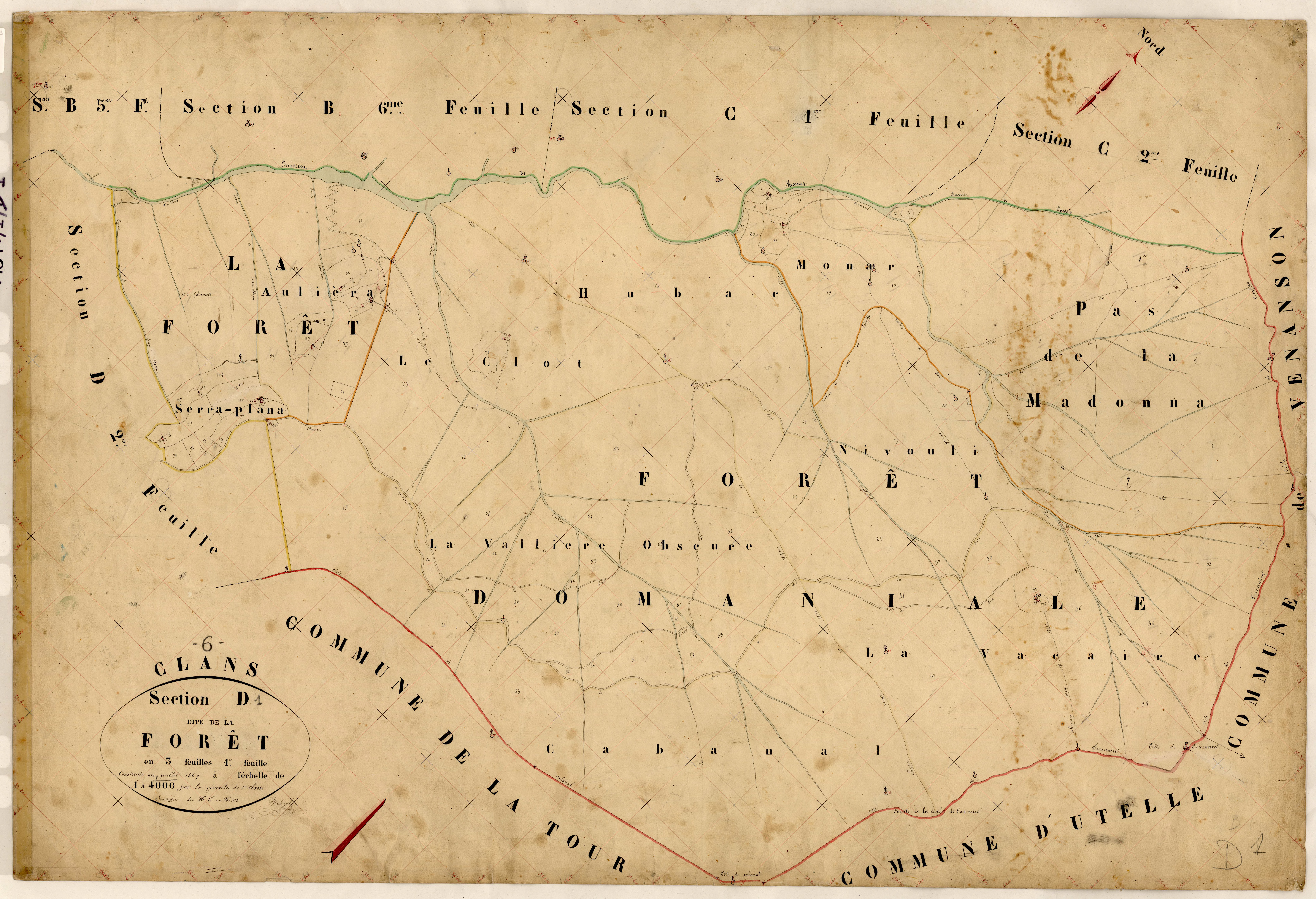 La Forêt. - Plan de section, D1