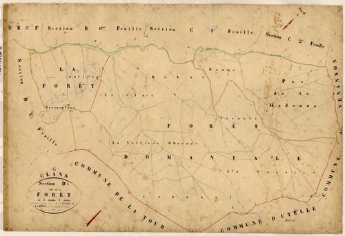La Forêt. - Plan de section, D1