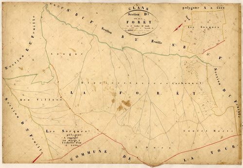 La Forêt. - Plan de section, D2