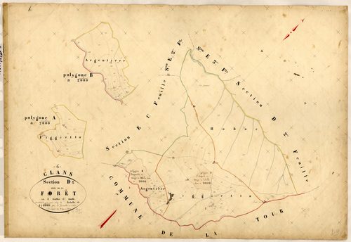 La Forêt. - Plan de section, D3
