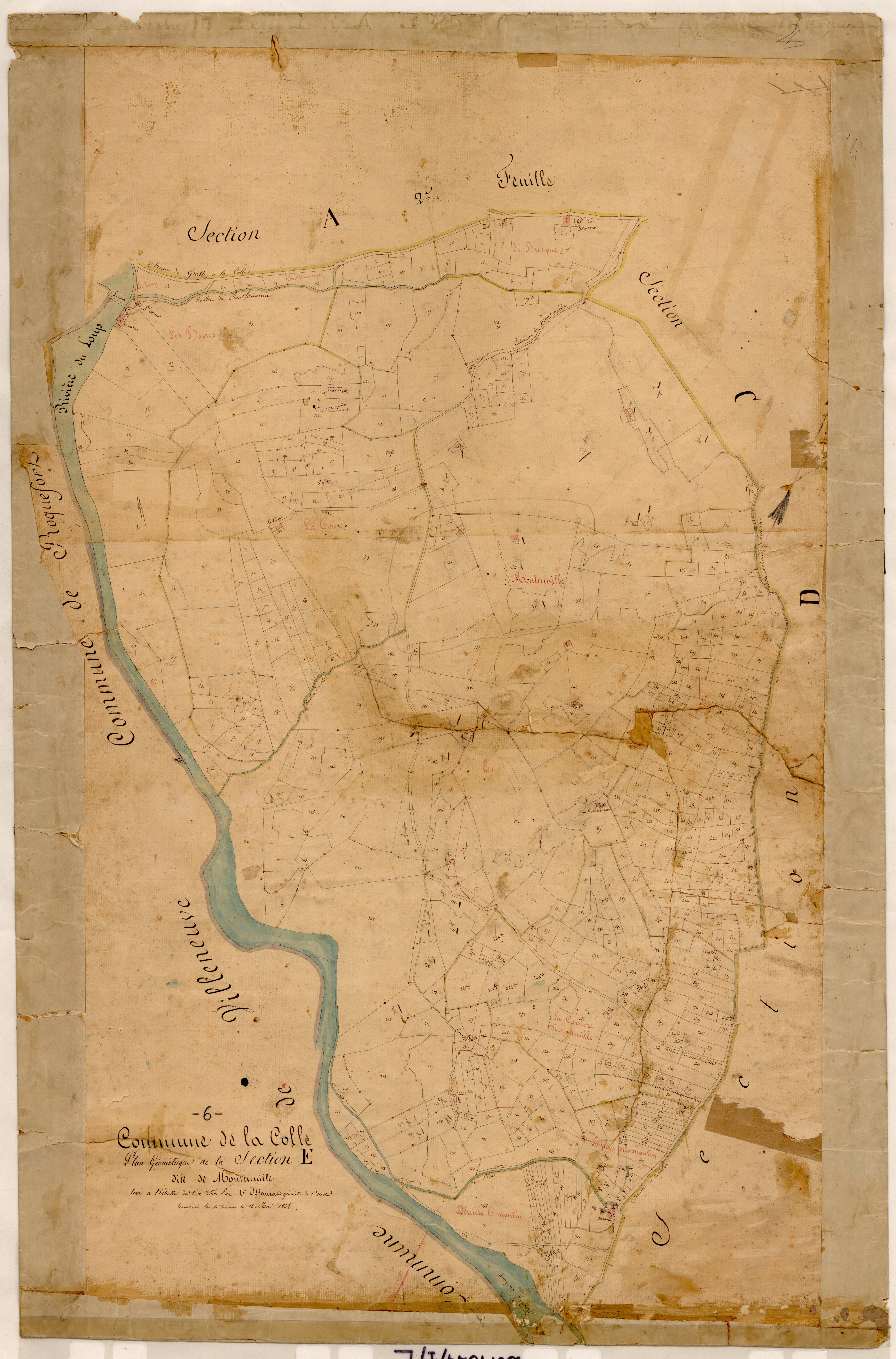 Montmuille. - Plan de section, E