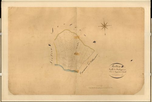 Montfort, les Caillades et les Défoussats (développement). - Plan de section, D(d)