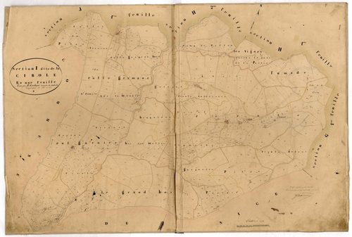La Cirole. - Plan de section, I