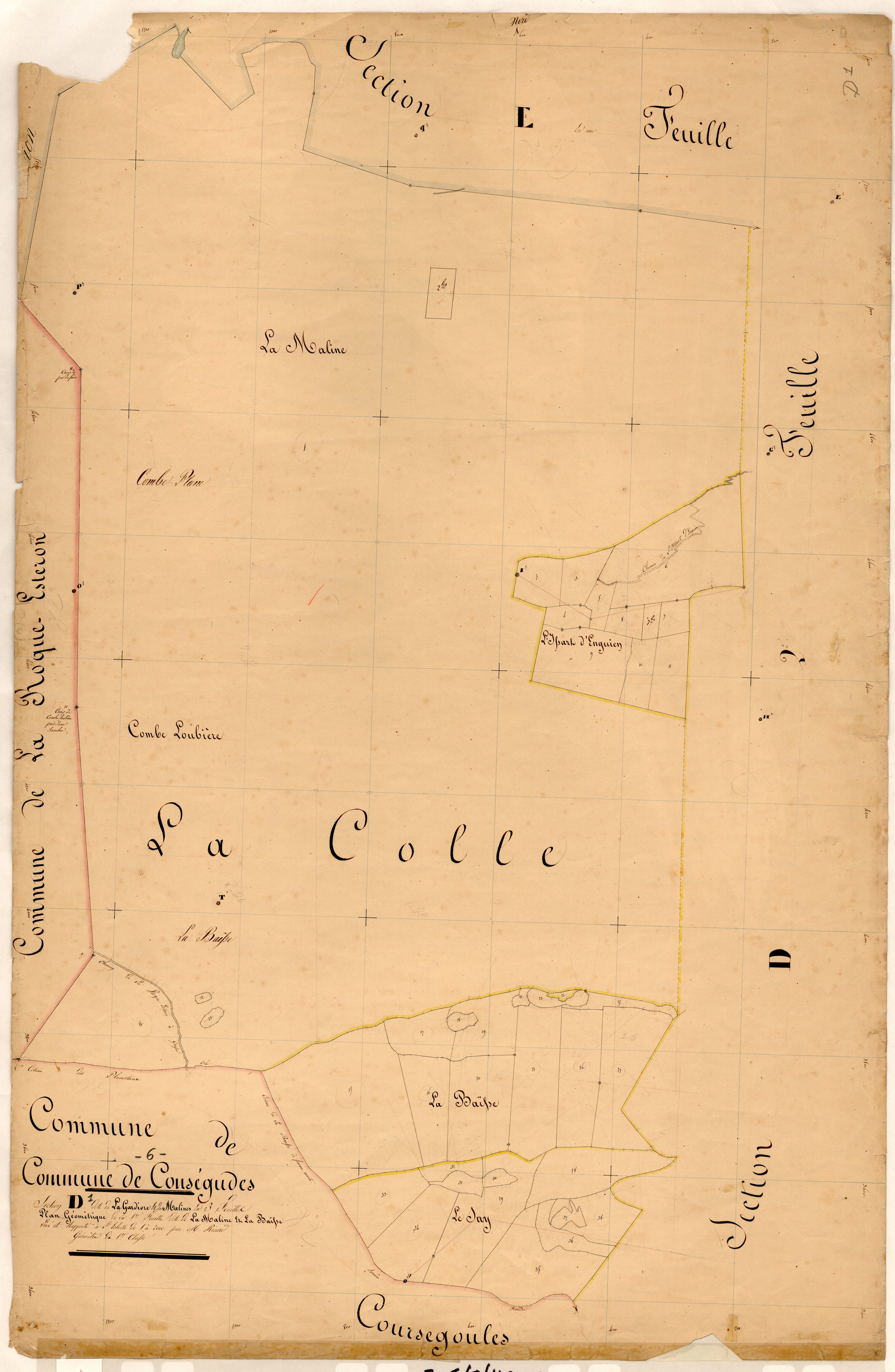 La Gardiore et les Malines, la Maline et la Baïsse. - Plan de section, D1