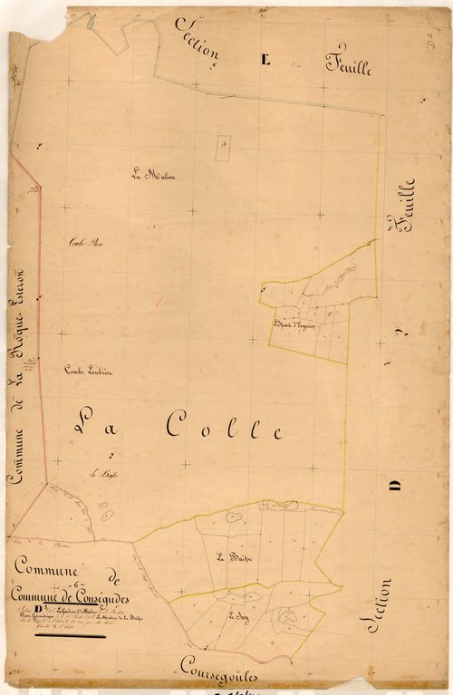 La Gardiore et les Malines, la Maline et la Baïsse. - Plan de section, D1
