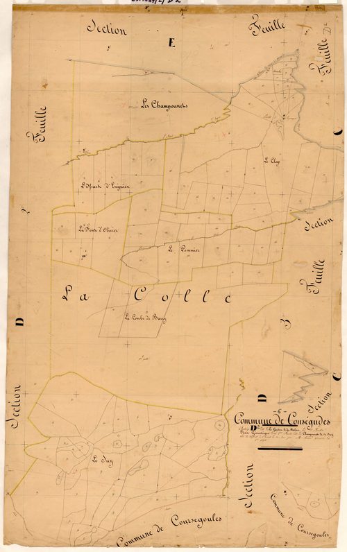 La Gardiore et les Malines, les Champounets et le Suy. - Plan de section, D2