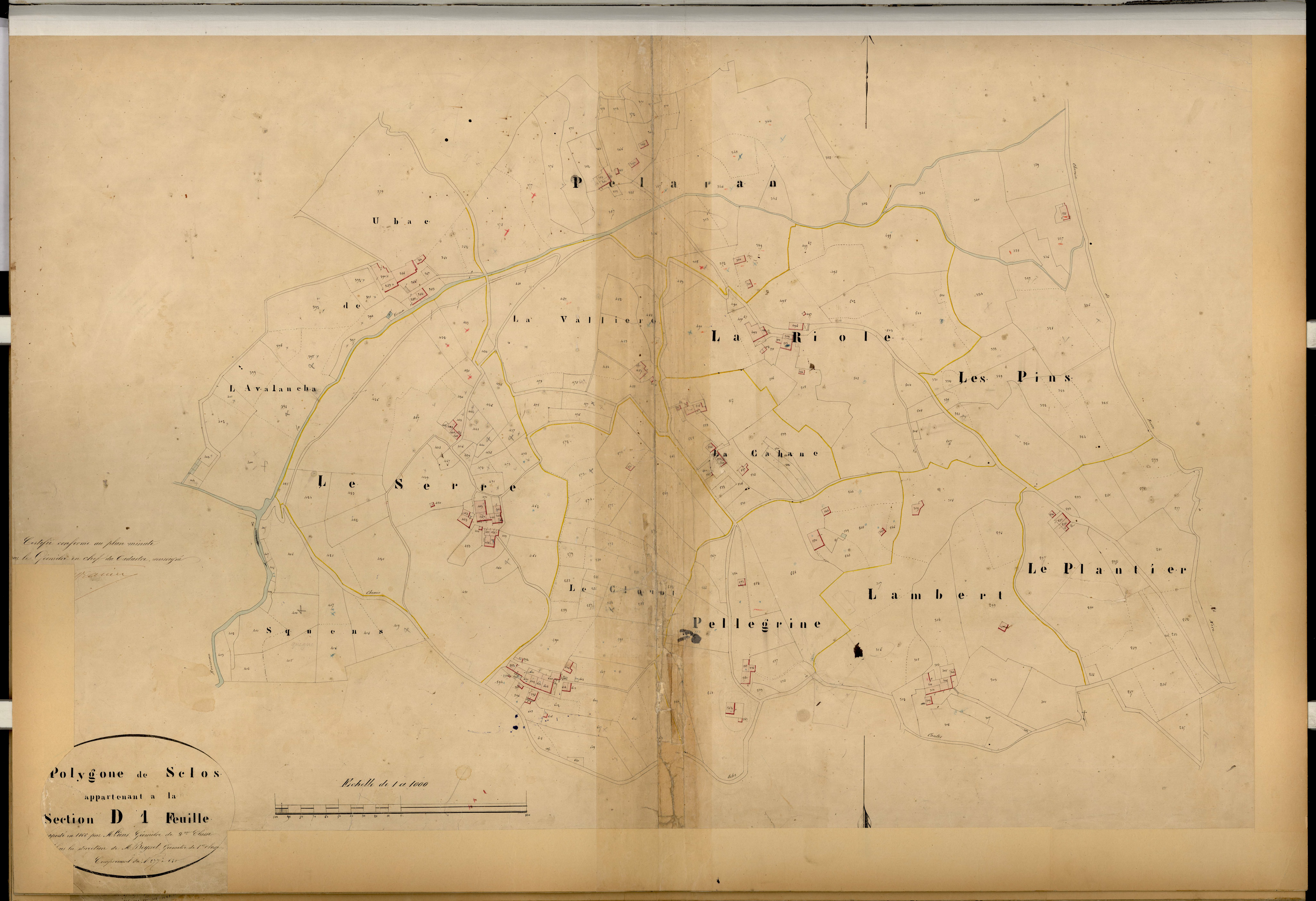 Sclos (développement). - Plan de section, D1(d)