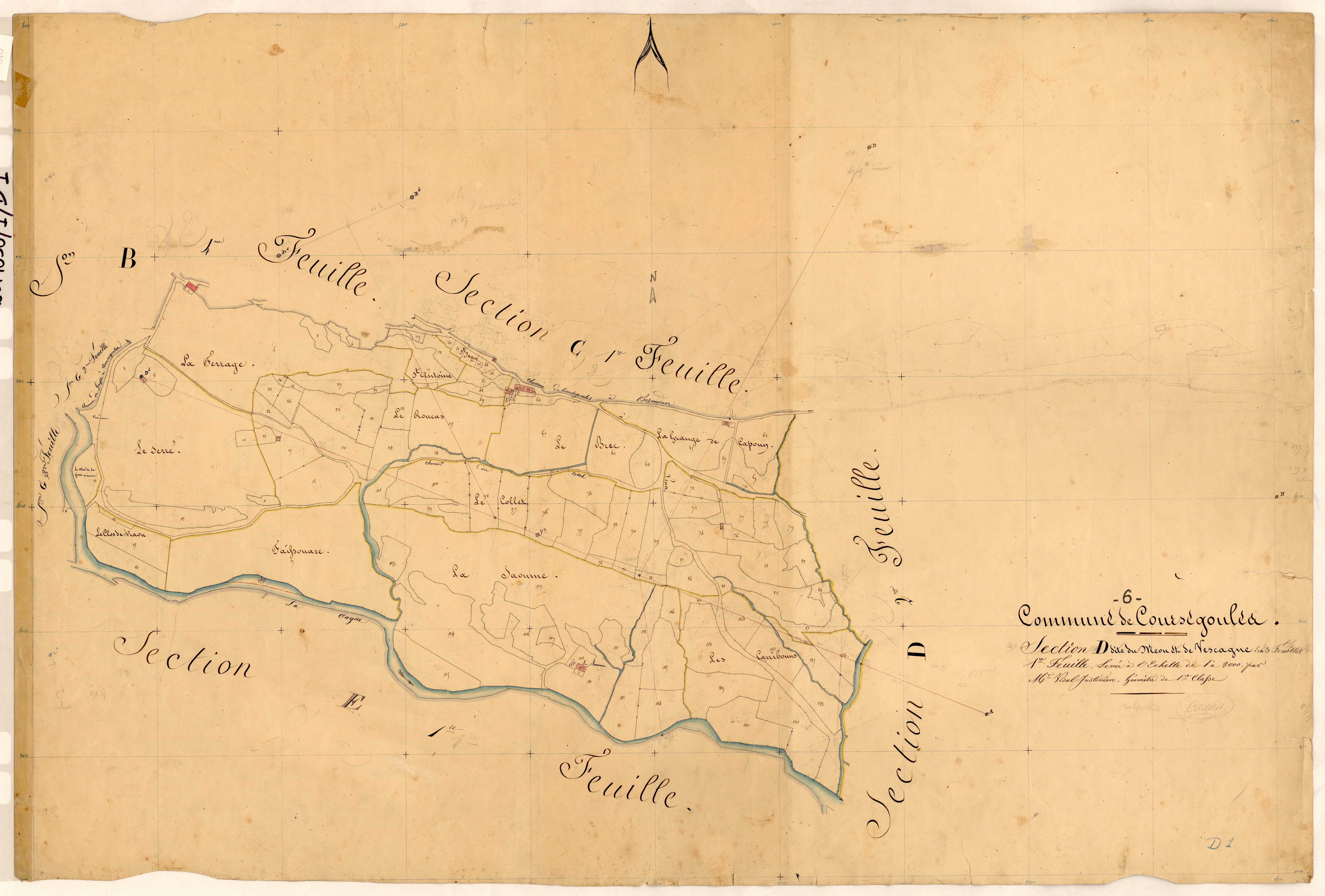Le Meou et Vescagne. - Plan de section, D1