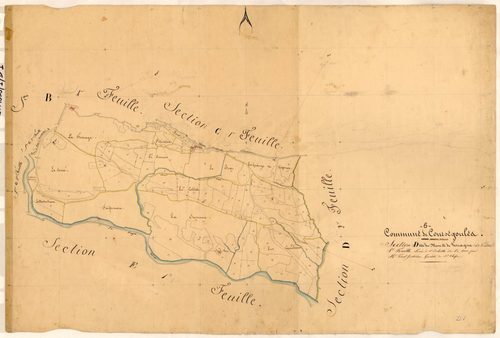 Le Meou et Vescagne. - Plan de section, D1