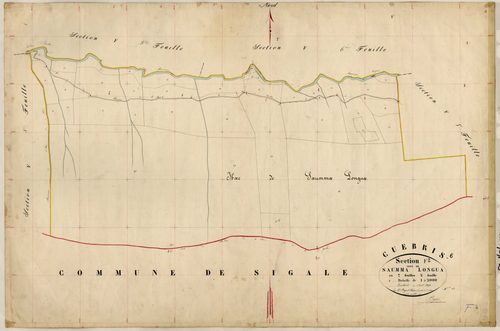 Saumma Longua. - Plan de section, F2