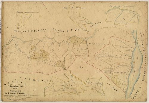 Le Village. - Plan de section, D1