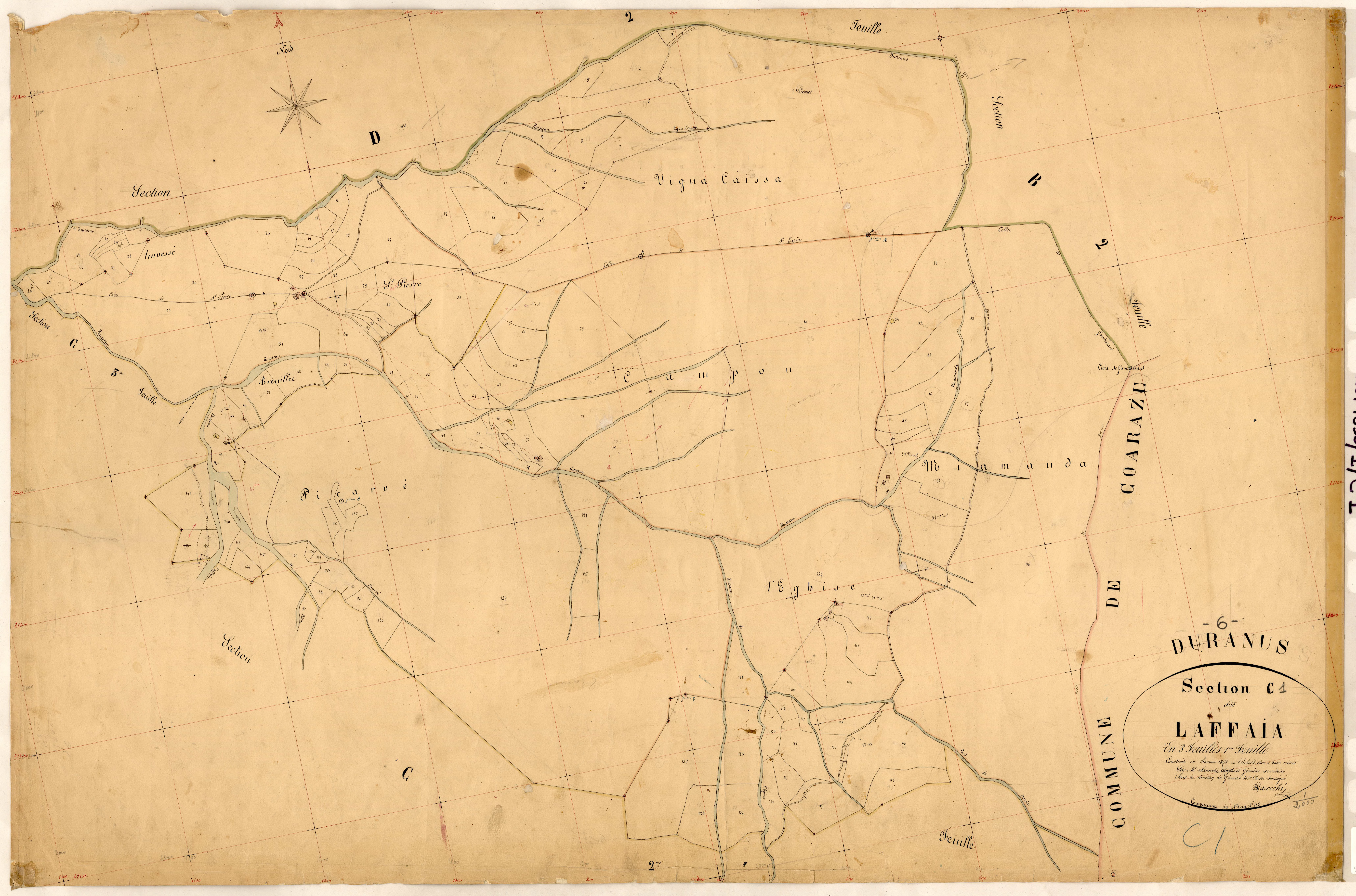 Laffaia. - Plan de section, C1