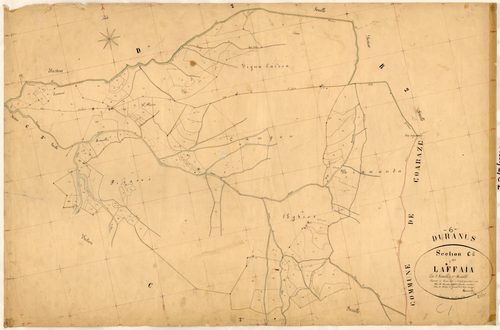 Laffaia. - Plan de section, C1
